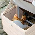 Kerbl Chicken House/Coop Bonny additional 5