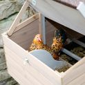 Kerbl Chicken House/Coop Bonny additional 5