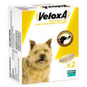 VeloxA Chewable Worming Tablets For Dogs additional 1