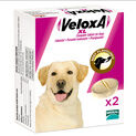 VeloxA XL Chewable Worming Tablets For Dogs additional 1