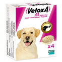 VeloxA XL Chewable Worming Tablets For Dogs additional 2