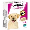 VeloxA XL Chewable Worming Tablets For Dogs additional 2