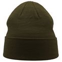 Atlantis|Atlantis Green Beanie Organic Cotton With Turn Up additional 1