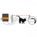 Gallagher Solar Electric Fence For Cats Kit additional 2