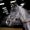 Whitaker Ready To Ride Mexican Bridle Havana additional 1