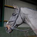 Whitaker Ready To Ride Mexican Bridle Havana additional 2