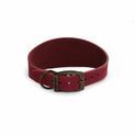 Ancol Timberwolf Hound Collar Raspberry additional 2