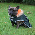 Ancol Parka Dog Coat additional 1