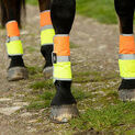 Equisafety Leg Boots Yellow/Orange additional 2