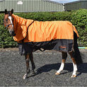 Whitaker Lutton Turnout Rug Combo 170Gm Orange additional 1