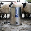 Agrihealth Warm Milk Feeder (Lambs) - Complete additional 2