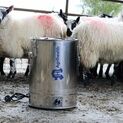 Warm Milk Feeder (Lambs) - Complete additional 4