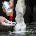 Leovet Med Wash 250ml additional 2