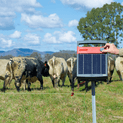 Speedrite S500 MK2 INTL Solar Energizer additional 3