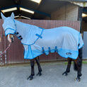 Whitaker Airton Fly Rug Light Blue additional 2