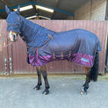 Whitaker Airton Fly Rug Navy/Plum additional 1