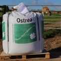 Ostrea Oyster Flour 1000kg additional 1