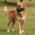 Baskerville Ultra Basket Dog Muzzle additional 6
