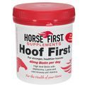 Horse First Hoof First additional 4