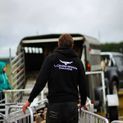 Longhorn Shearing Signature Series Hoodie - Black additional 2