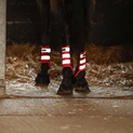 Equilibrium Tri-Zone Brushing Boots Black/Fluorescent Pink additional 2