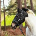 Equilibrium Stellar All Weather Headcollar Black additional 3