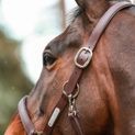 Equilibrium Stellar All Weather Headcollar Brown additional 4