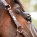 Equilibrium Stellar All Weather Headcollar Brown additional 3