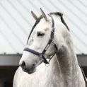 Equilibrium Stellar All Weather Headcollar Navy additional 2