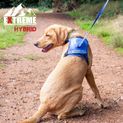 Ancol Extreme Hybrid Harness Aqua Blue additional 3