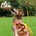 Ancol Extreme Hybrid Harness Hazard Orange additional 1