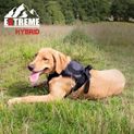Ancol Extreme Hybrid Harness Tactical Black additional 1