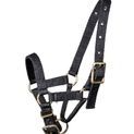Waldhausen Black Alpaca Halter additional 3