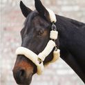 Waldhausen Cozy Halter Black additional 3