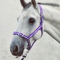 Equi-Sential Economy Headcollar &amp; Lead Rope Set Black additional 1