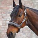 Waldhausen Elegant Asphalt Halter additional 1