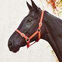 Equisential Nylon Headcollar Purple additional 2