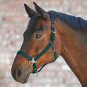 Waldhausen Gloomy Halter Fir Green additional 1