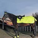 Waldhausen Hi-Viz Exercise Sheet Neon Yellow additional 1
