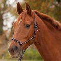 Waldhausen Knotted Halter Black/White additional 2