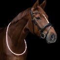 Waldhausen Horse LED Neck Strap Light additional 3
