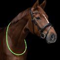Waldhausen Horse LED Neck Strap Light additional 1