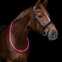 Waldhausen Horse LED Neck Strap Light additional 2