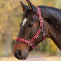 Waldhausen Little Horse Halter Red additional 3