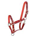 Waldhausen Little Horse Red Halter additional 4