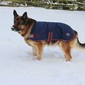 Mackey Buster Dog Coat Navy/Burgundy additional 2