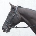Mackey Classic Flash Bridle Black additional 4