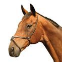 Mackey Classic Grackle Noseband Brown additional 1