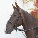 Mackey Classic Hunt Bridle Black additional 4