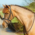 Mackey Classic Padded Flash Bridle Brown additional 1